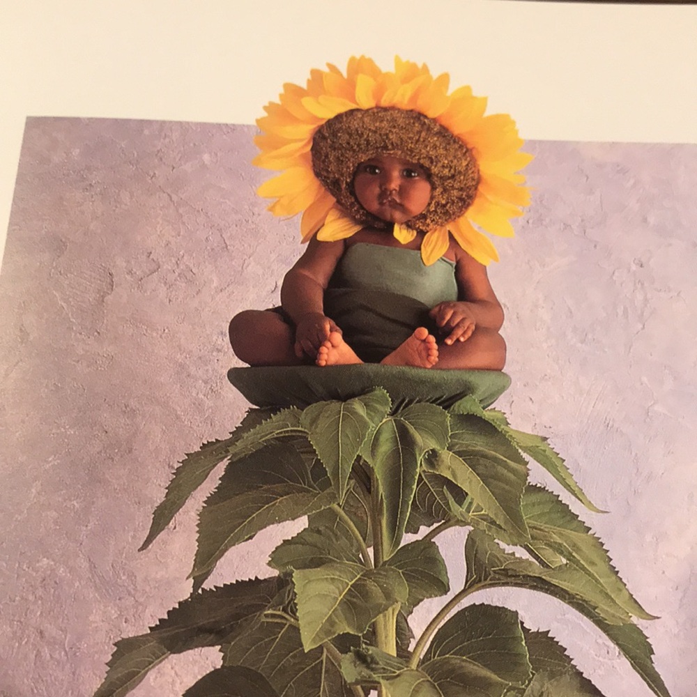 ANNE GEDDES DOWN IN THE GARDEN NWOT - Picture 15 of 16